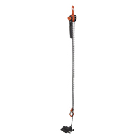 Mini palan &agrave; levier, Lev&eacute;e 15', Cabacit&eacute; 1000 lb (0,5 tonne), Chaîne en Acier Distribution Industrielle GC