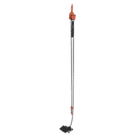 Mini palan &agrave; levier, Lev&eacute;e 20', Cabacit&eacute; 1000 lb (0,5 tonne), Chaîne en Acier Distribution Industrielle GC