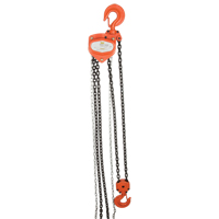 Chain Hoist, 10' Lift, 1000 lbs. (0.5 tons) Capacity, Alloy Steel Chain Distribution Industrielle GC