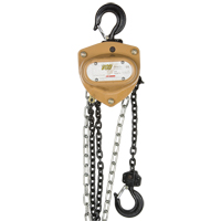 Heavy-Duty Gold Series Chain Hoist, 10' Lift, 1000 lbs. (0.5 tons) Capacity, Alloy Steel Chain Distribution Industrielle GC
