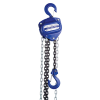 Chain Hoist, 10' Lift, 2000 lbs. (1 tons) Capacity, Load Chain Grade 80 Chain Distribution Industrielle GC