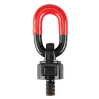 Anneaux de treuil de levage pivotant, 1/4", Longueur du filetage 13 mm, Acier alli&eacute; Distribution Industrielle GC