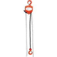 Chain Hoist, 10' Lift, 10000 lbs. (5 tons) Capacity, Alloy Steel Chain Distribution Industrielle GC