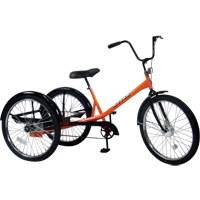 Tricycles & Bicycles, Accessories and Parts