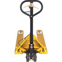 Transpalette avec frein Distribution Industrielle GC