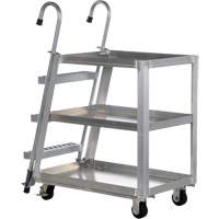 Chariot de pr&eacute;l&egrave;vement de stock, Aluminium, 21-7/8" la x 40" p, 3 tablettes, Capacit&eacute; 660 lb Distribution Industrielle GC