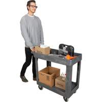 Chariot utilitaire pour l'entretien, 2 tiers, 16-1/2" x 32-1/2" x 34-1/2", Capacit&eacute; 550 lb Distribution Industrielle GC