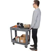 Chariot utilitaire pour l'entretien, 2 tiers, 16-1/2" x 32-1/2" x 34-1/2", Capacit&eacute; 550 lb Distribution Industrielle GC