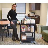 Chariot utilitaire &eacute;lectrique, 3 tiers, 24" x 42" x 18", Capacit&eacute; 300 lb Distribution Industrielle GC
