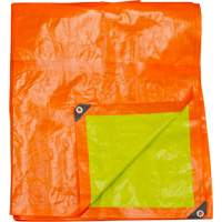 B&acirc;che tiss&eacute;e robuste haute visibilit&eacute;, Poly&eacute;thyl&egrave;ne, Vert/Orange, 16' x 20' x 12 mils Distribution Industrielle GC