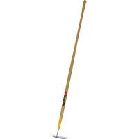 Beet Hoe Distribution Industrielle GC