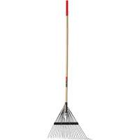 Lawn Rake, 24 Tines, Hardwood Handle, Steel Blade Distribution Industrielle GC