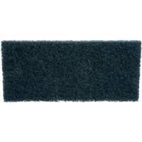 Scrubber Pad, 10" L x 4-5/8" W Distribution Industrielle GC