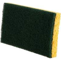 Utility Sponges, Cellulose, 6" W x 3-1/2" L Distribution Industrielle GC