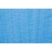 B&acirc;che, Standard, Bleu, 7' x 5' x 4 mils Distribution Industrielle GC