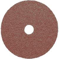 PSA Sanding Discs