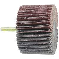Shaft Mounted Flapwheel, 60 Grit, 1-1/2" x 1/4" Distribution Industrielle GC