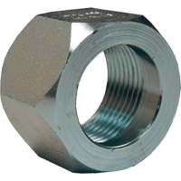 &eacute;crou hexagonal de minage Dixon, 1", Zingu&eacute;, Filetage NPT Distribution Industrielle GC