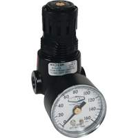 R&eacute;gulateur miniature R04 Wilkerson, 1/4" NPT, PSI max. de 300 psi, Standard Distribution Industrielle GC