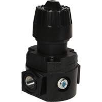 R&eacute;gulateur compact R16 Wilkerson, 1/4" NPT, PSI max. de 300 psi, Standard Distribution Industrielle GC