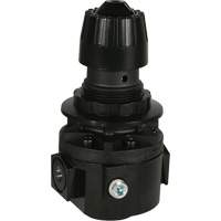 R&eacute;gulateur Wilkerson R26, 3/8" NPT, PSI max. de 300 psi, Standard Distribution Industrielle GC