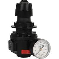 R&eacute;gulateur Wilkerson R26, 1/2" NPT, PSI max. de 300 psi, Standard Distribution Industrielle GC