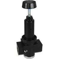 R&eacute;gulateur &agrave; d&eacute;bit &eacute;lev&eacute; R30 Wilkerson, 3/4" NPT, PSI max. de 300 psi, Standard Distribution Industrielle GC