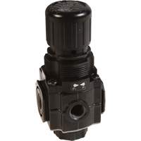 Collecteur de r&eacute;gulateur de s&eacute;rie 1, 1/4" NPT, PSI max. de 150 psi, Standard Distribution Industrielle GC