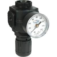 R&eacute;gulateur compact de s&eacute;rie 1, 1/2" NPT, PSI max. de 150 psi, Standard Distribution Industrielle GC