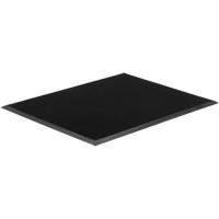 Tapis Gritstop Fingermat, Caoutchouc, Grattoir Type, Motif Textur&eacute;, 2' x 2-2/3', Noir Distribution Industrielle GC
