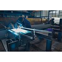 Serre-joint enti&egrave;rement en acier &agrave; double force variable Distribution Industrielle GC