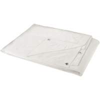 B&acirc;che, Robuste, Blanc, 30' x 20' x 6 mils Distribution Industrielle GC