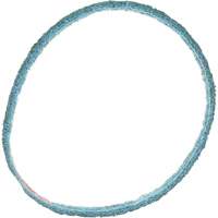 Scotch-Brite Surface Conditioning Belt Distribution Industrielle GC