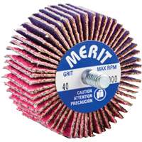 Threaded Mini Flap Wheel, Ceramic Alumina, 40 Grit, 2" x 1" x 1/4"-20 Distribution Industrielle GC