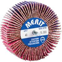 Threaded Mini Flap Wheel, Ceramic Alumina, 40 Grit, 3" x 1" x 1/4"-20 Distribution Industrielle GC