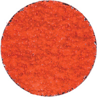 Blaze R980P Quick-Change Cloth Disc, 2" Dia., 36 Grit, Ceramic Alumina Distribution Industrielle GC
