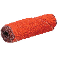 Rouleau de cartouche Blaze R920, 60 Grain, 3/8" dia., C&eacute;ramique d'alumine, 1-1/2" lo, 1/8" Dimension de l'arbre Distribution Industrielle GC