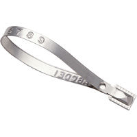 Scell&eacute;s Guard Lock, 8-3/8", M&eacute;tal, Scell&eacute; pour camion Distribution Industrielle GC