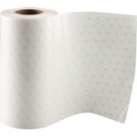 Industrial Protective Film, Polyurethane, 610 mm (24") W x 33 m (108') L, 8 mils Thick Distribution Industrielle GC