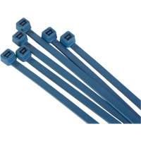 Attache-c&acirc;bles d&eacute;tectables par d&eacute;tecteur de m&eacute;taux, 6" lo, R&eacute;sistance &agrave; la traction 120 lb Distribution Industrielle GC