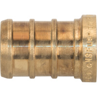 Lead-Free Pipe Plug, Pipe, 1/2" Dia., Brass Distribution Industrielle GC
