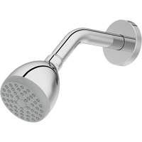 Pomme de douche monofonctionnelle Distribution Industrielle GC