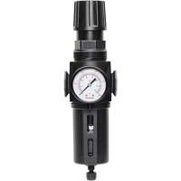 Filtre/r&eacute;gulateur drain manuel avec bol standard Modulair 300, 1/4" NPT, 150 psi, Capacit&eacute; de 5,1 oz liq. Distribution Industrielle GC