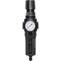 Filtre/r&eacute;gulateur drain manuel avec bol en m&eacute;tal Modulair 300, 1/4" NPT, 250 PSI, Capacit&eacute; de 5,1 oz liq. Distribution Industrielle GC