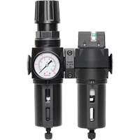 Filtre/r&eacute;gulateur + filtre coalescent drain manuel avec bol standard Modulair 300, 1/4" NPT, 150 psi, Capacit&eacute; de 5,1 oz liq. Distribution Industrielle GC
