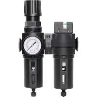 Filtre/d&eacute;tendeur & filtre coalescent Modulair 300 avec bol standard & drain manuel, 3/8" NPTF, 150 psi, Capacit&eacute; de 5,12 oz liq Distribution Industrielle GC