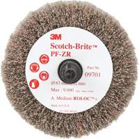 Scotch-Brite Roloc Cut and Polish Flap Brush, PF-ZR, Aluminum Oxide, Medium Grit, 2-1/2" x 1-1/4" Distribution Industrielle GC