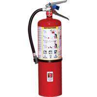 Fire Extinguisher, ABC, 10 lbs. Capacity Distribution Industrielle GC