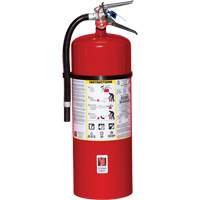 Extincteur d'incendie, ABC, Capacit&eacute; 20 lb Distribution Industrielle GC