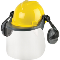 Head & Face Protection Systems Distribution Industrielle GC